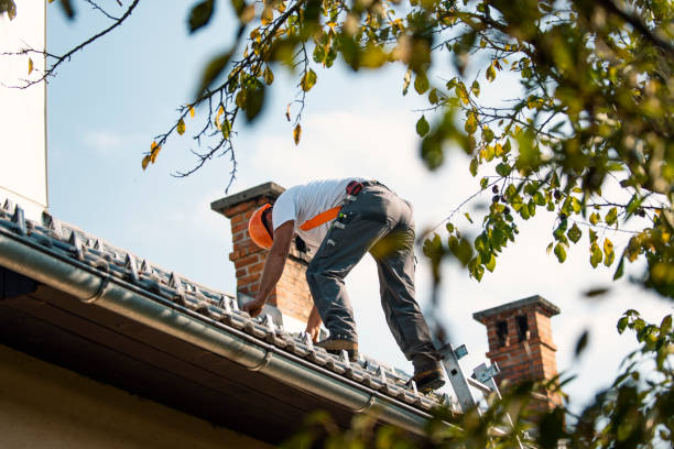 Best Roof Gutter Cleaning  in Edwards, MS