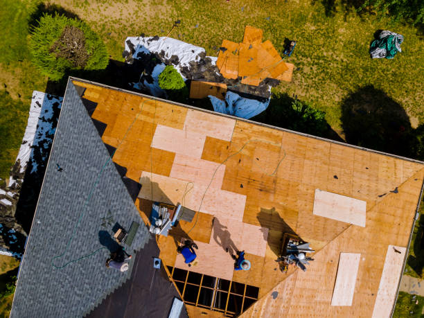 Best Roof Waterproofing Services  in Edwards, MS