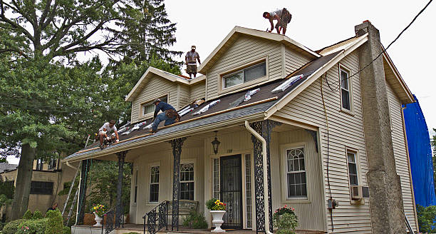 Best Roof Maintenance Services  in Edwards, MS